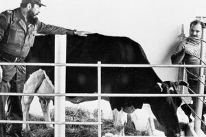 Quand Fidel Castro donnait des vaches au Vietnam