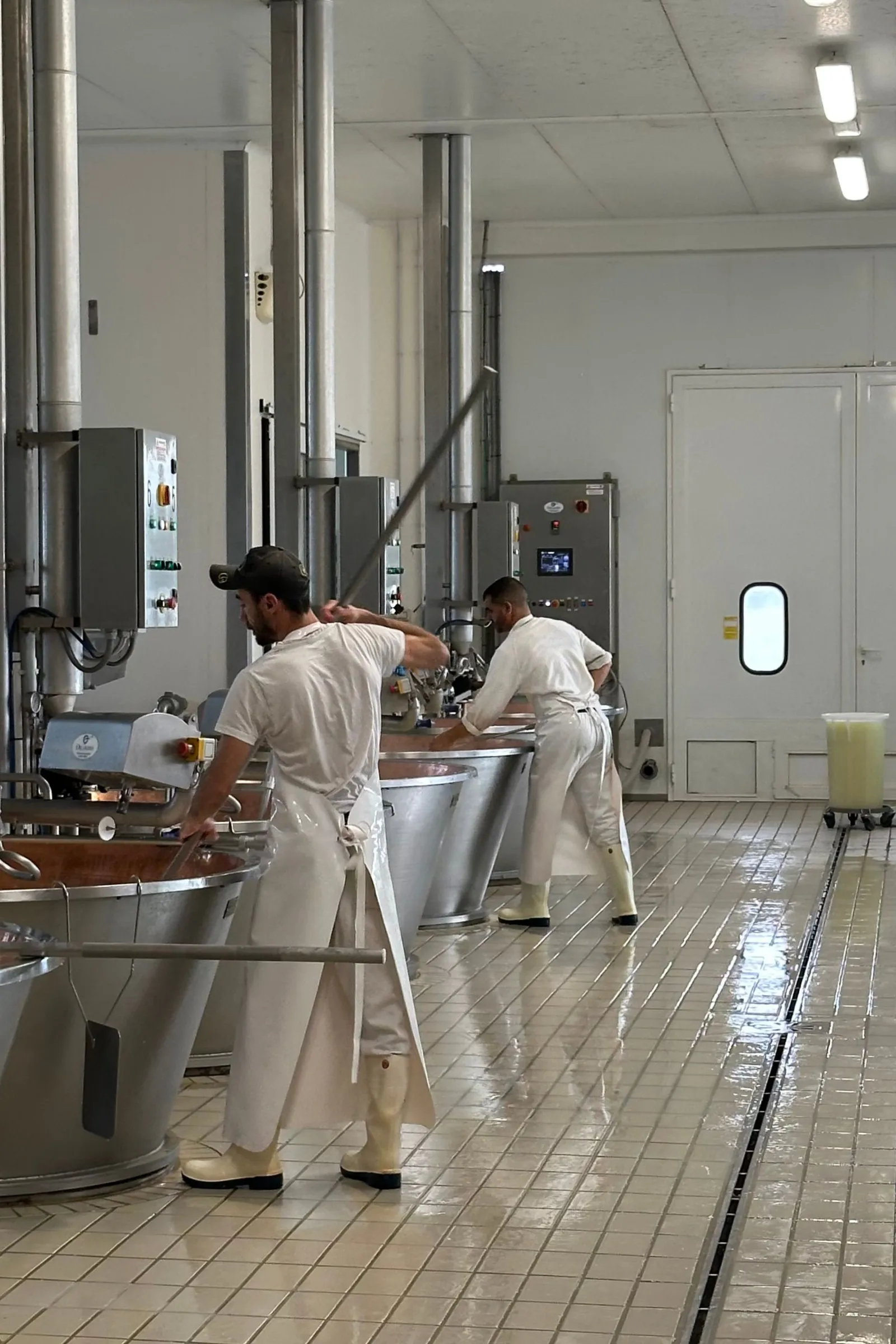Parmiggiano Reggiano DOP