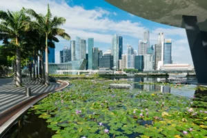 Quoi acheter à Singapour, les classiques et au-delà des classiques