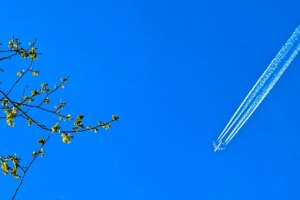 Pourquoi les avions laissent-ils des traînées blanches dans le ciel ?