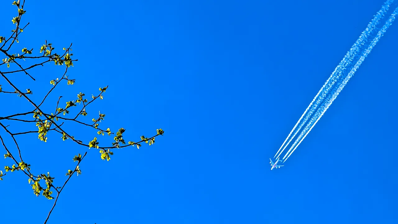 Condé Nast Traveler