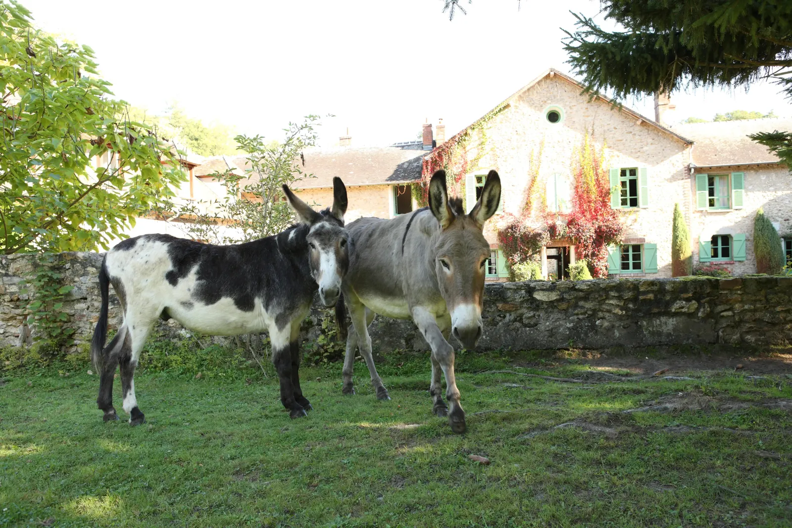 Les burritos de La Ferme