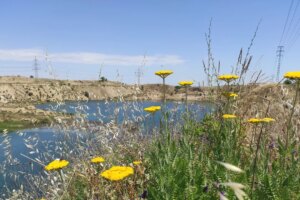 Lagunas de Ambroz, la zone humide qui lutte pour survivre à l&rsquo;est de Madrid
