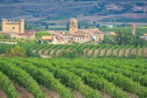 Que voir à Sajazarra : Rioja Alta médiévale, viticole et charmante