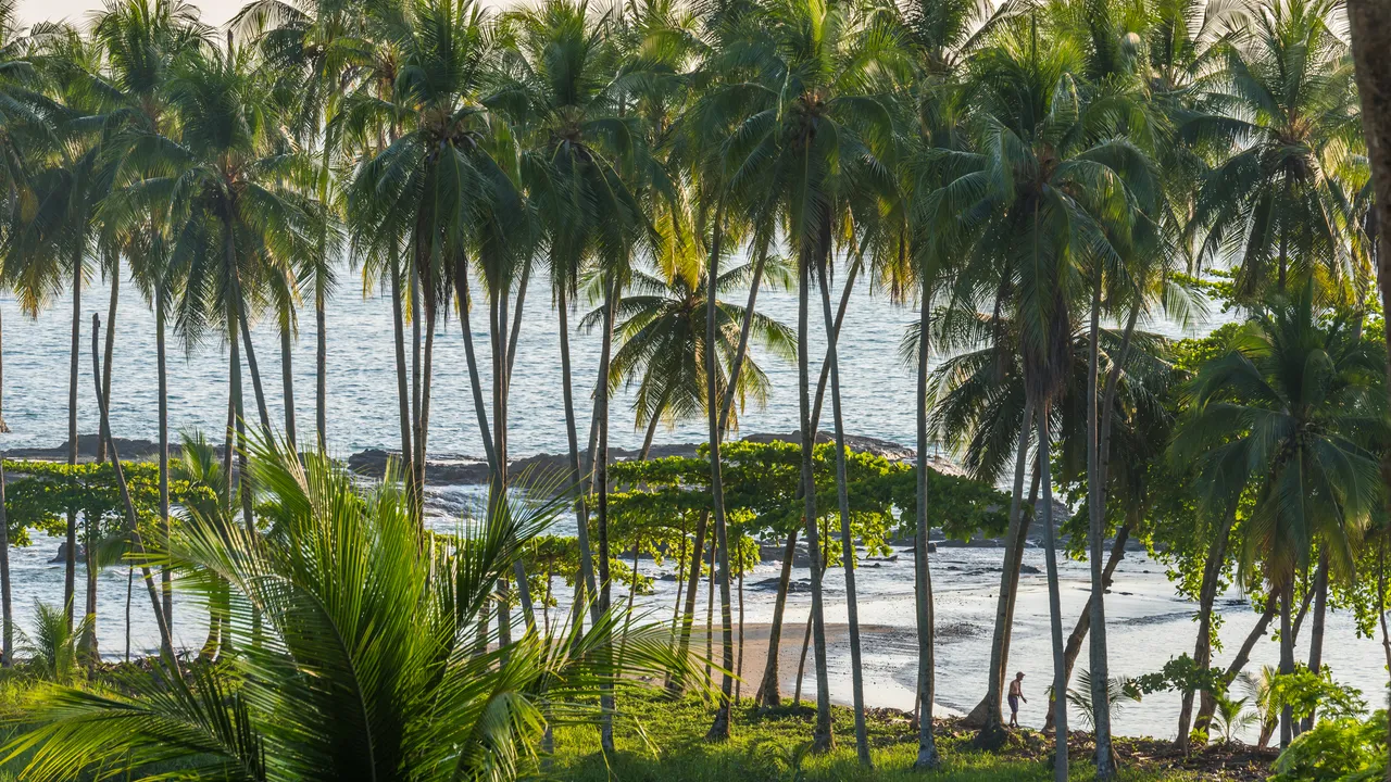 Condé Nast Traveler