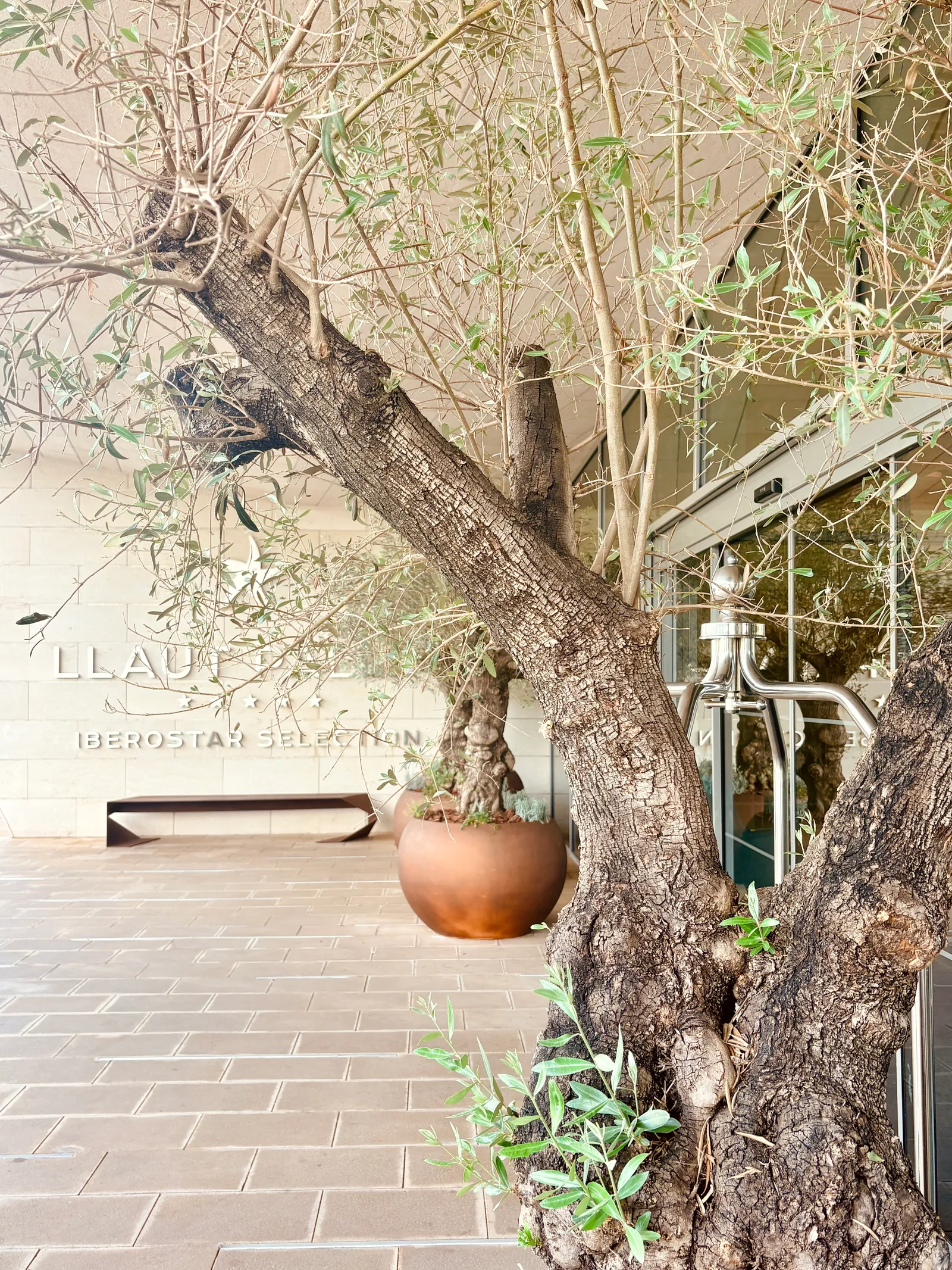 Iberostar Selection Llaut Palma