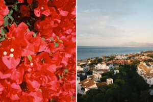 Marbella, naturellement | Voyageur