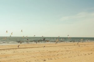 Les îles frisonnes, les plus belles du royaume