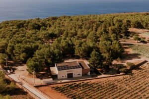 Du vin de Formentera ? Oui, merci