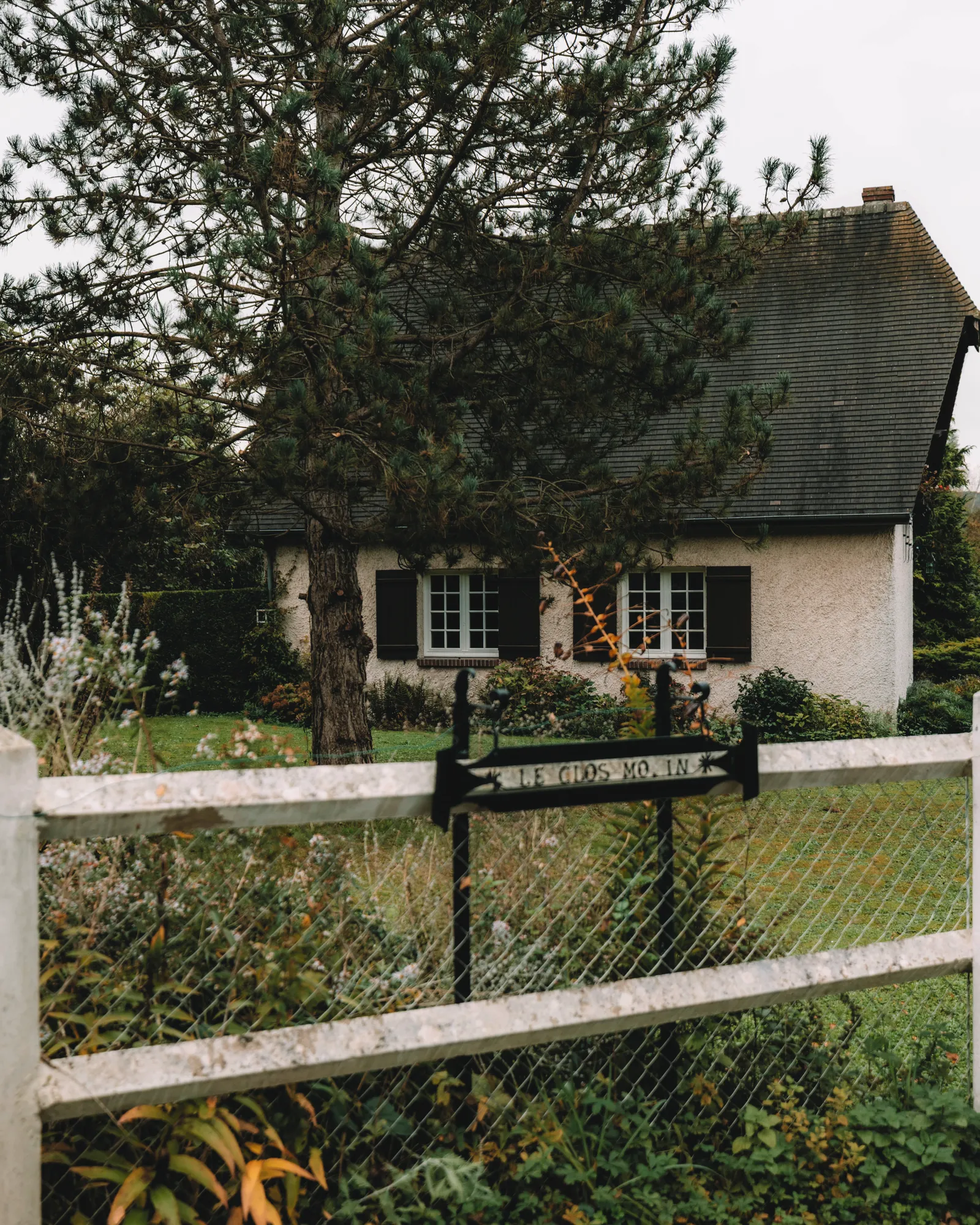 L'automne d'Anastasia Ferreiro