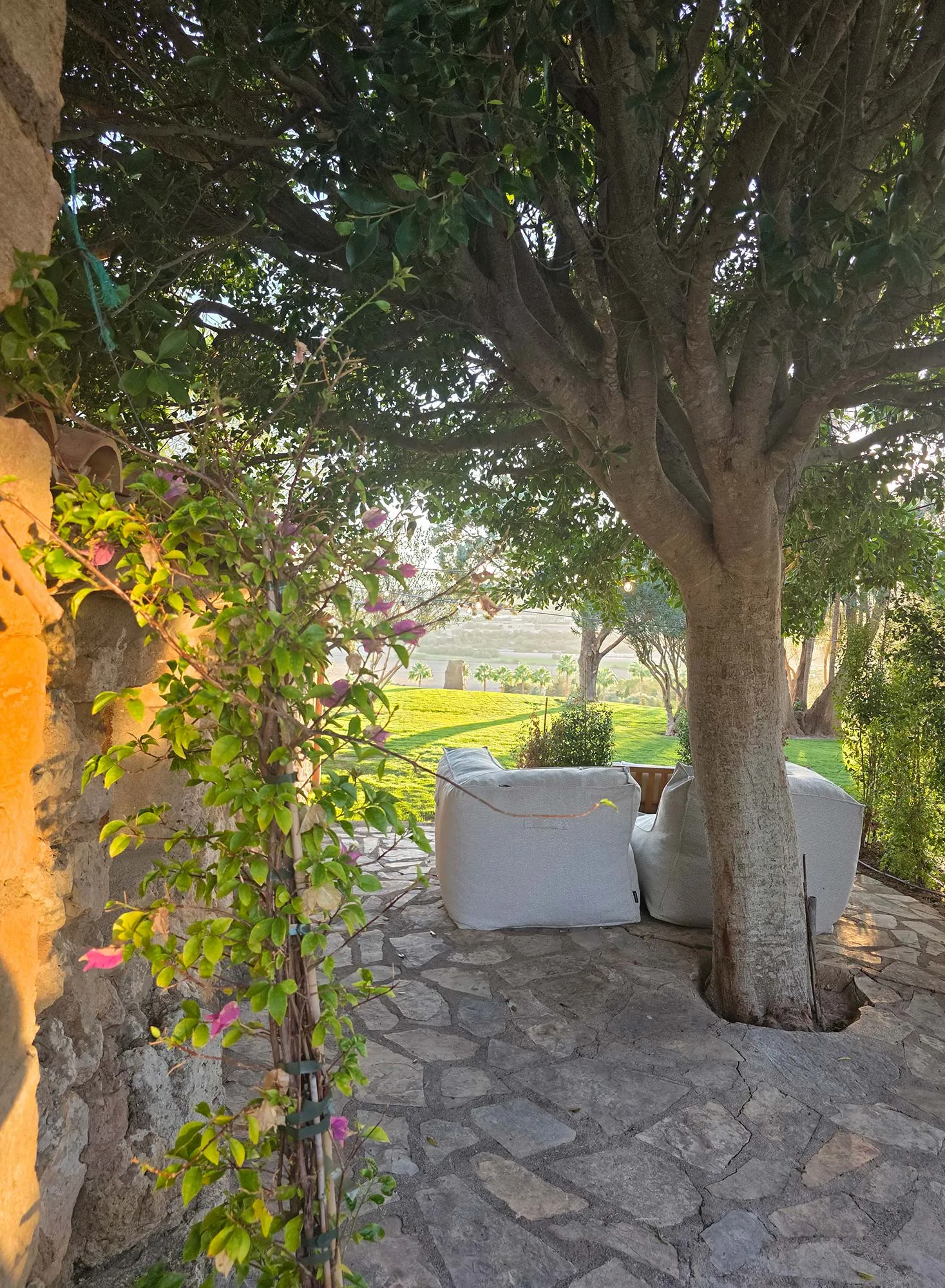Le charmant patio avec vue sur la chambre 2 de Rotana La Reserva