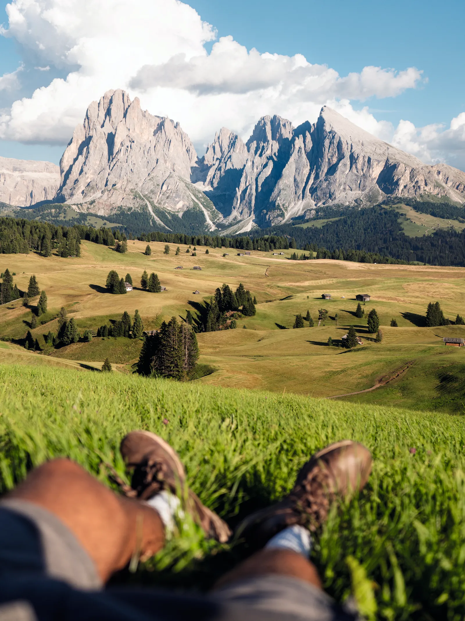 Alpe de Siusi Dolomites