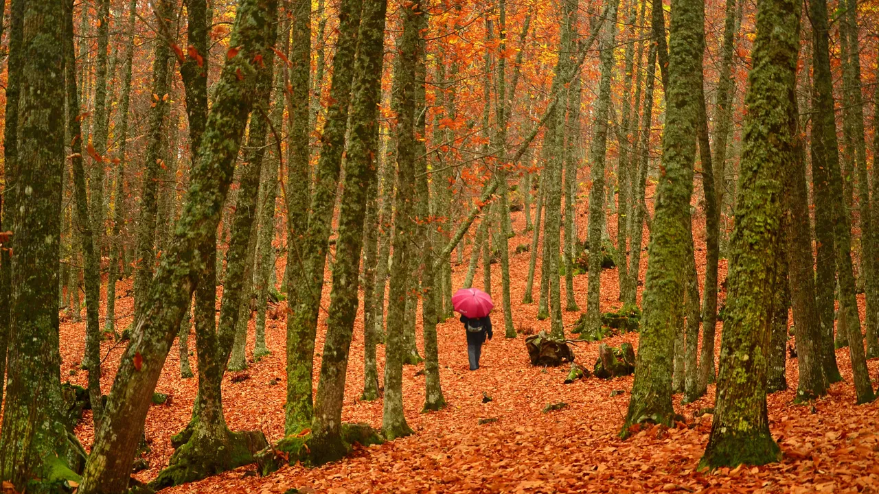 Condé Nast Traveler
