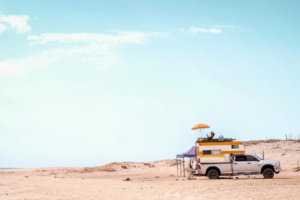 Los Cabos en bouchées | Voyageur