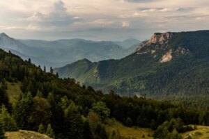 Europe sauvage : des forêts primaires qui semblent venir d’une autre planète