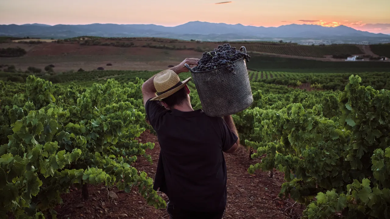 Condé Nast Traveler