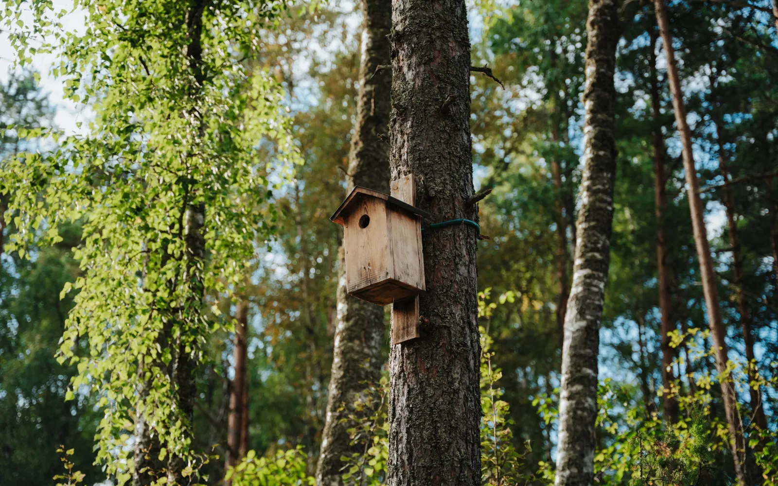 kurrospa nature hôtel Estonie gastronomie sauna naturel lac Peipus firstin