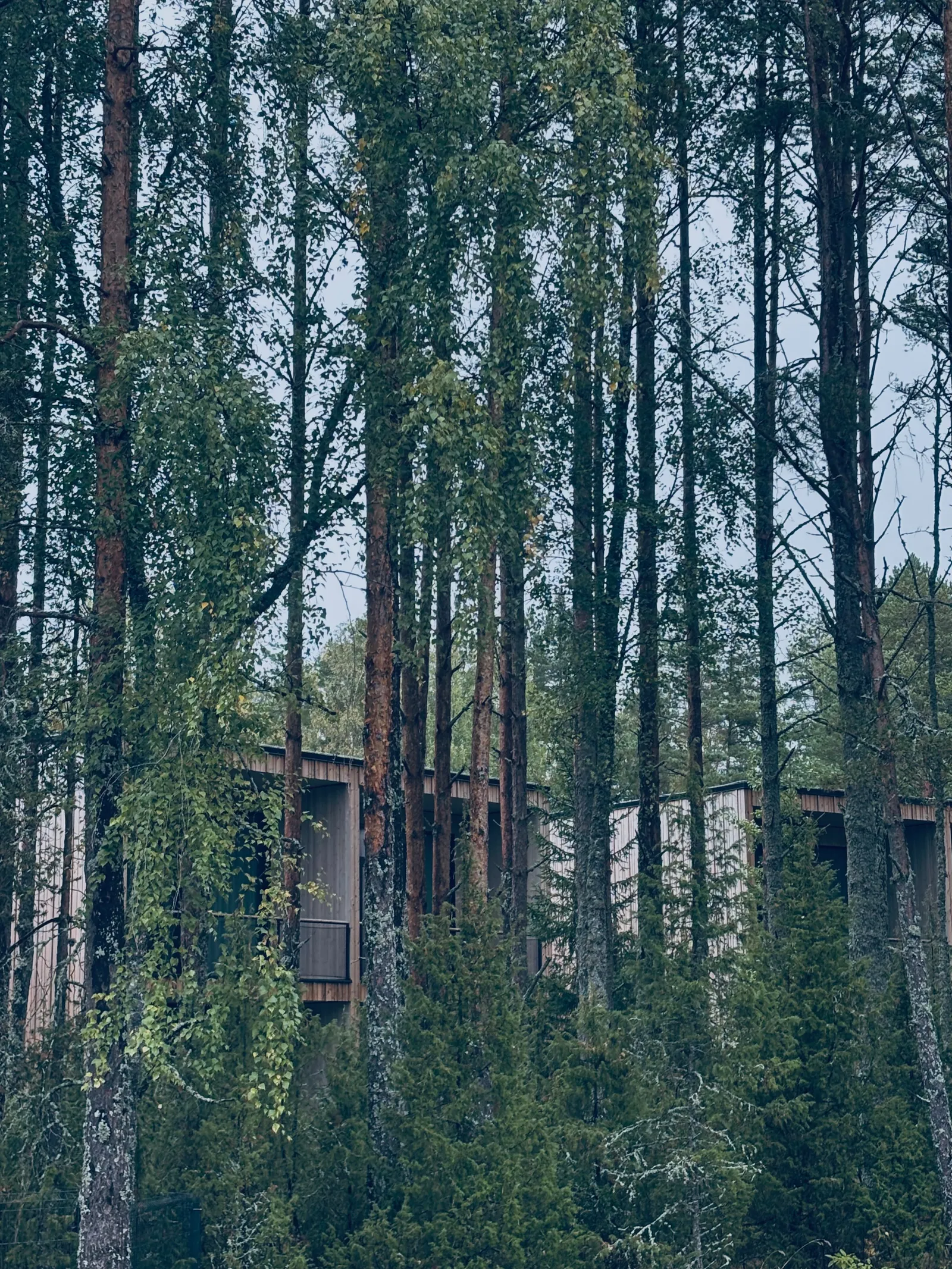 kurrospa nature hôtel Estonie gastronomie sauna naturel lac Peipus firstin