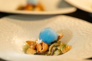 Restaurant Botànic : un rêve à deux rives