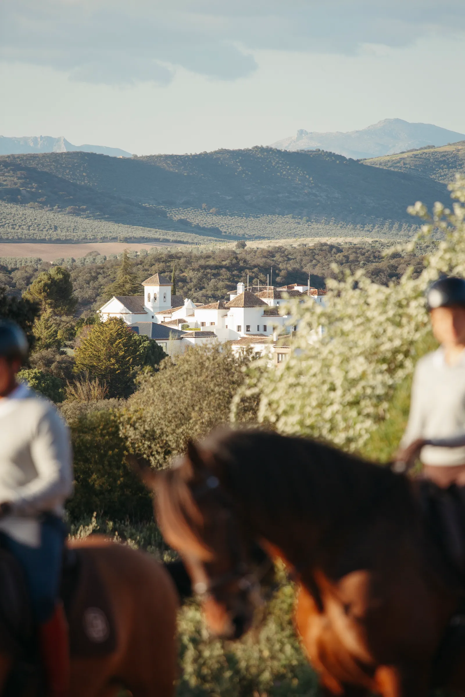 Finca La Bobadilla au coeur de l'Andalousie
