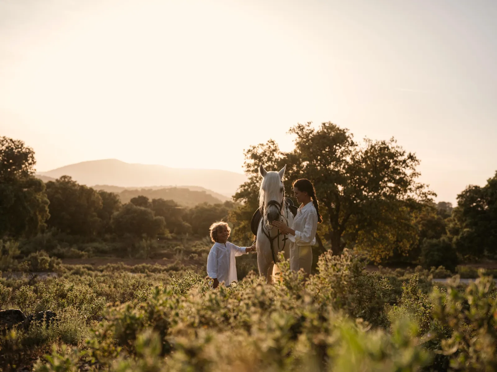 Finca La Bobadilla au coeur de l'Andalousie