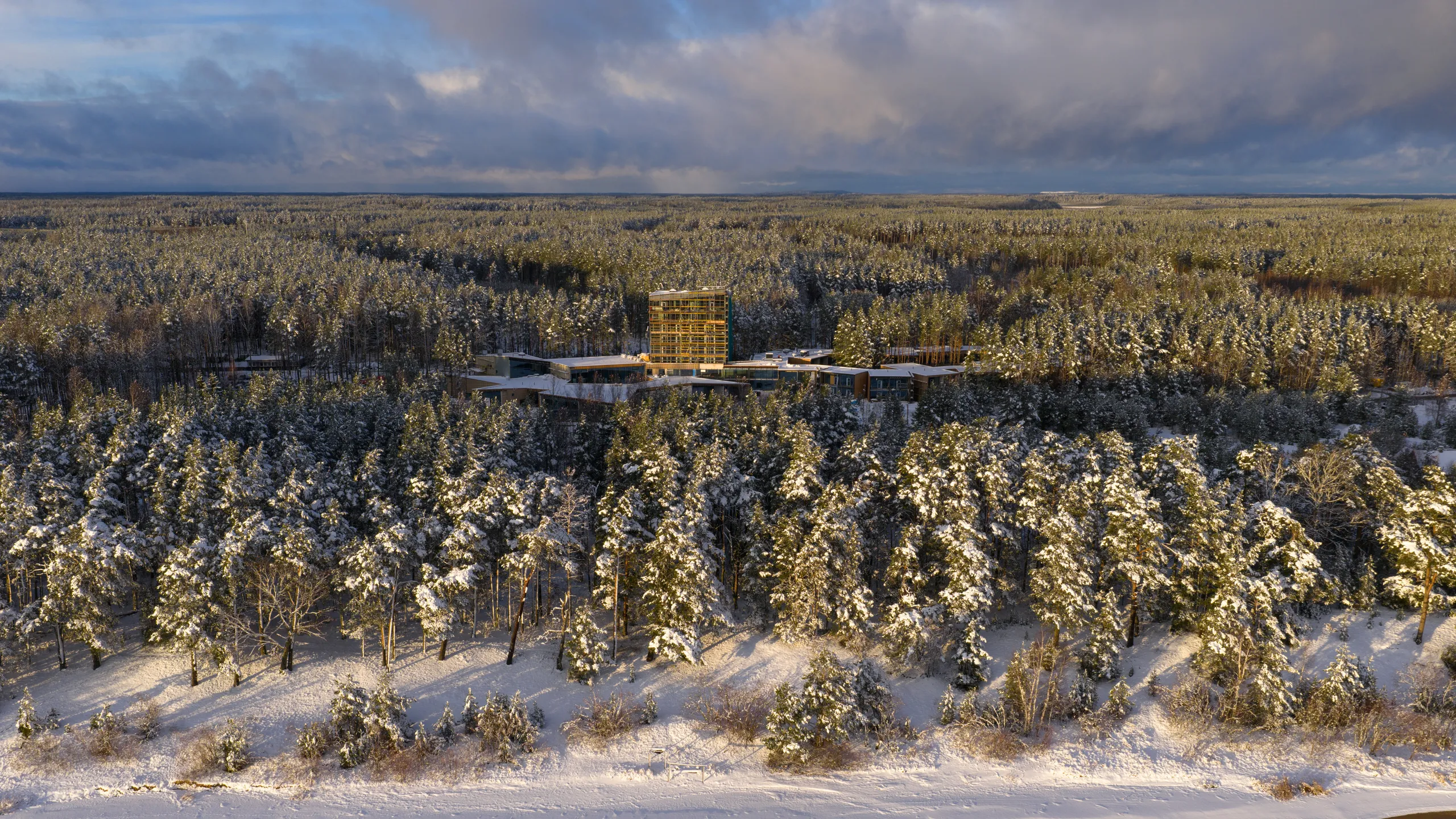 Kurro Nature Spa, l'hôtel où séjourne une forêt estonienne